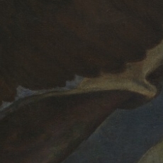 St Michel terrassant le dragon, Raphael